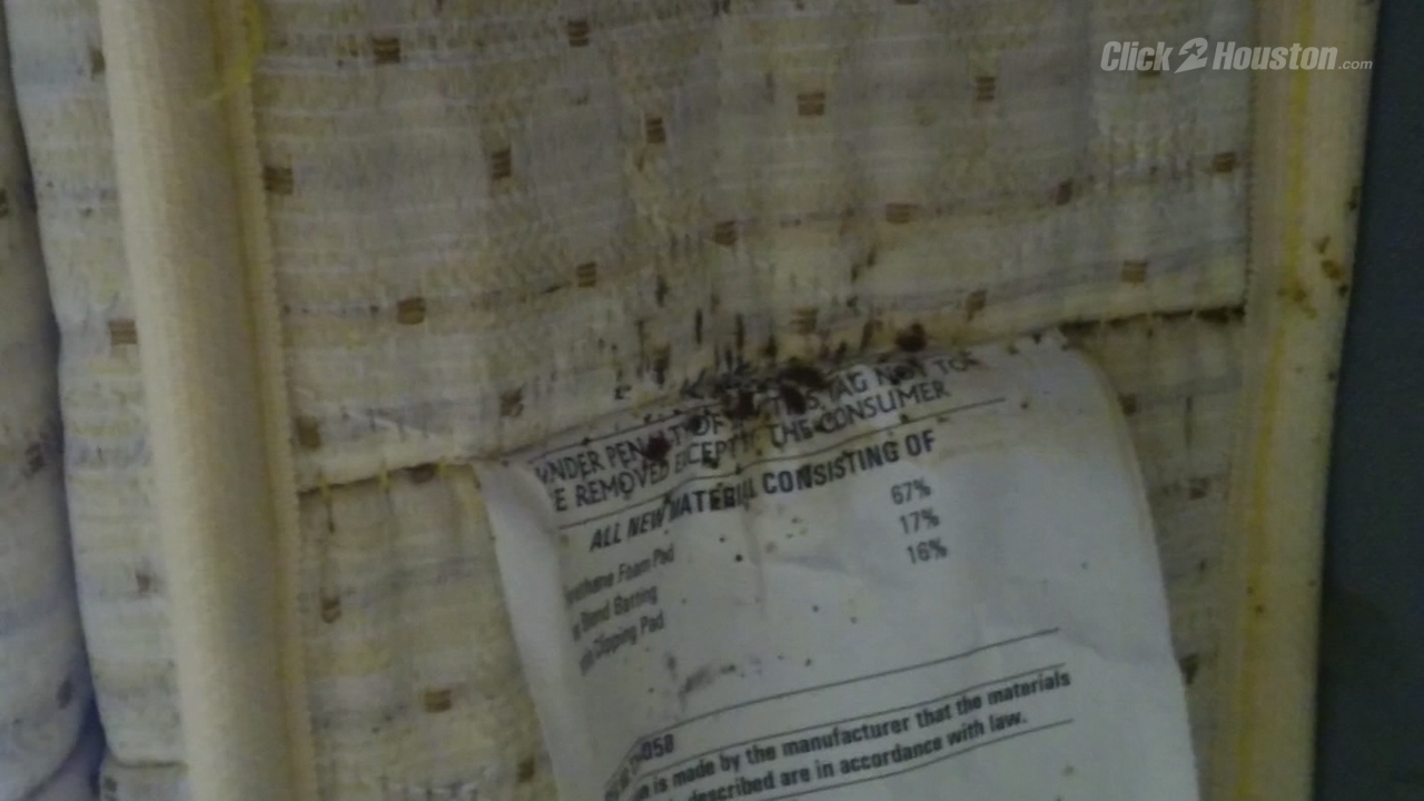 Bed Bugs Houston News Bed Bugs Houston News